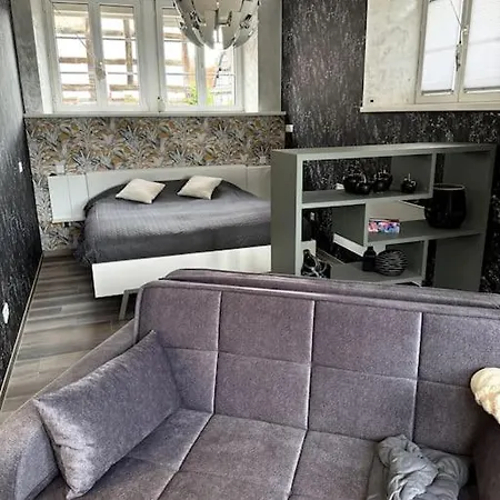 Au Petit Nid De Апартаменты Seebach