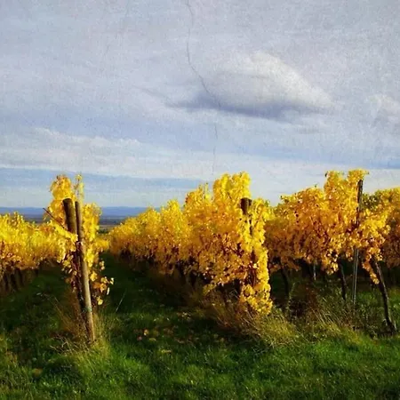 Апартаменты Au Petit Nid De Seebach